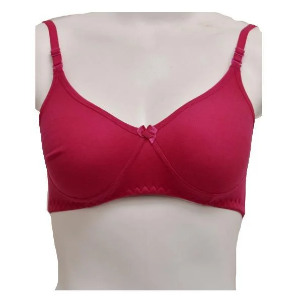 Ladies Seamless Bra Comfy Matching Seamless Stretchable Cotton T-Shirt Bra-Shapewear. Pk Modern Contemporary Chic Ladies Seamless Bra Comfy Matching Seamless Stretchable Cotton T-Shirt Bra-Shapewear. Pk Modern Contemporary Chic