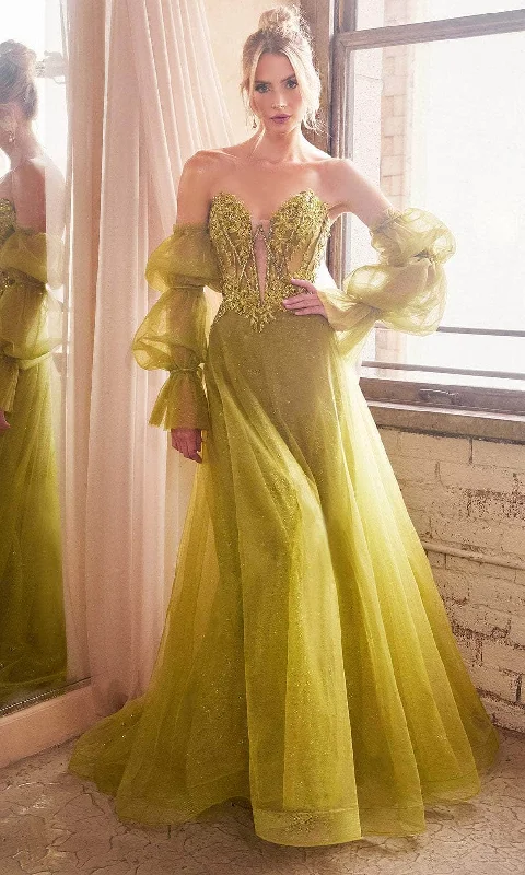 Cinderella Divine CD830 - Embroidered with Boned Strapless Bodice Ballgown